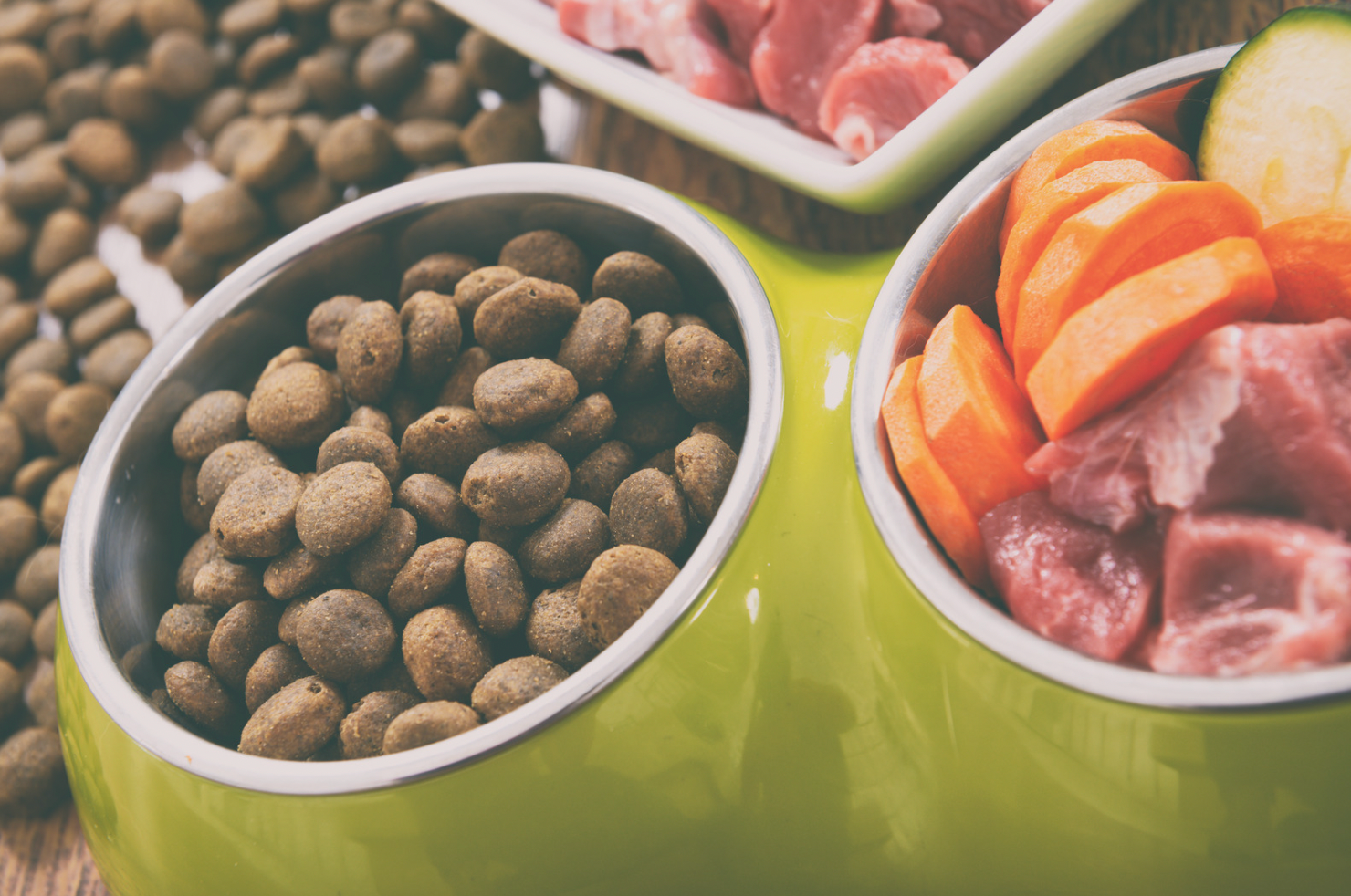 🌱 ¿Por qué nació y se consolidó la alimentación natural para perros?