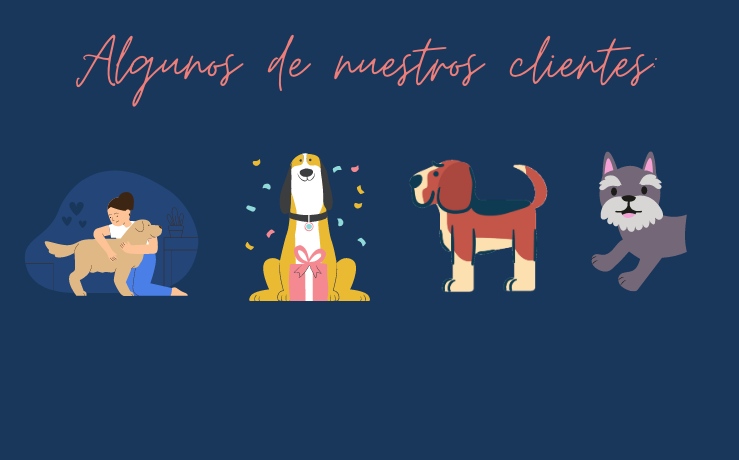 ¿Qué opinan las personas de WANKÜN? ¡Conoce sus testimonios!