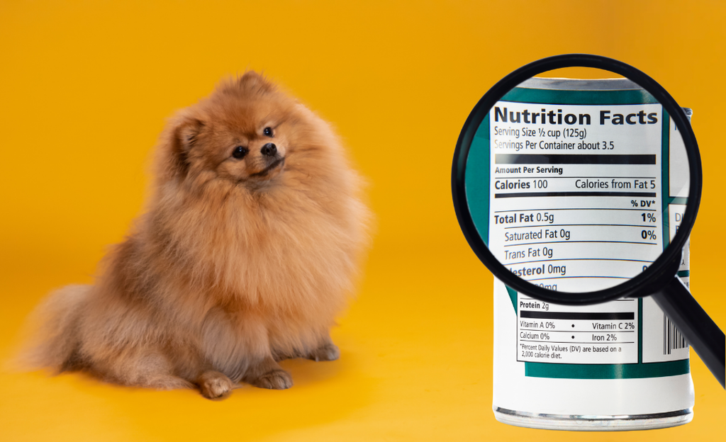 Clean Label: qué es y por qué está ganando terreno en la alimentación humana y de perros