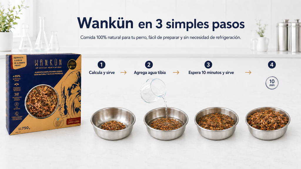 Wankün 100 grs | Pollo - Equivale a 500 grs de alimento fresco