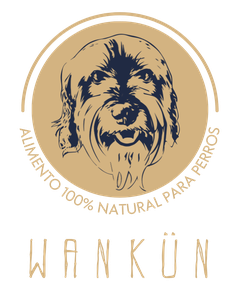 Wankün