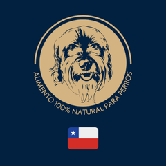 Primer alimento deshidratado para perros hecho en Chile